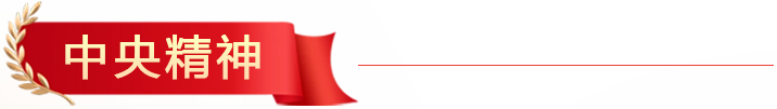 bt1 bt1